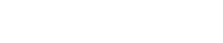 BrancoSoft Technologies